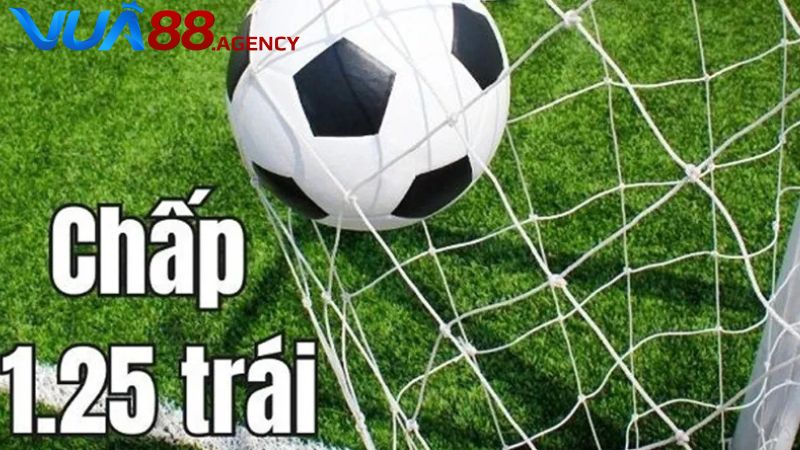 Người chơi cần hiểu về kèo 1.25 để có nhận định và dự đoán đặt cược chính xác. Người chơi cần hiểu về kèo 1.25 để có nhận định và dự đoán đặt cược chính xác.
