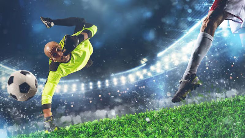 Cách đọc kèo ½ chuẩn quy định Cách đọc kèo ½ chuẩn quy định