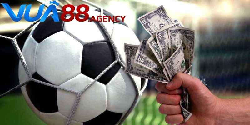 Kèo 2.5-3 được đọc theo 3 tình huống khác nhau Kèo 2.5-3 được đọc theo 3 tình huống khác nhau